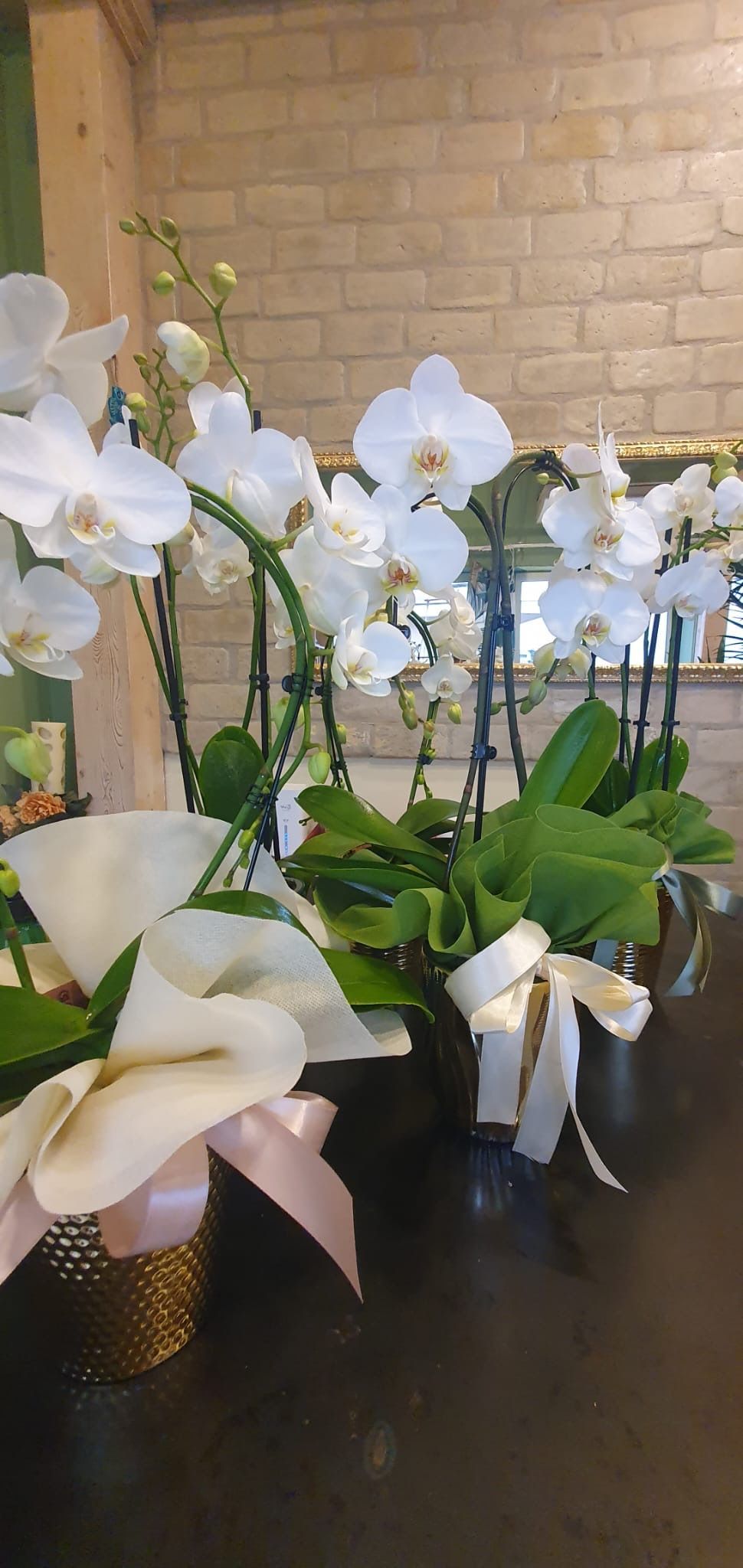 Orchidee bianche e calle in vasi decorativi su una superficie scura, sfondo di un muro di mattoni.