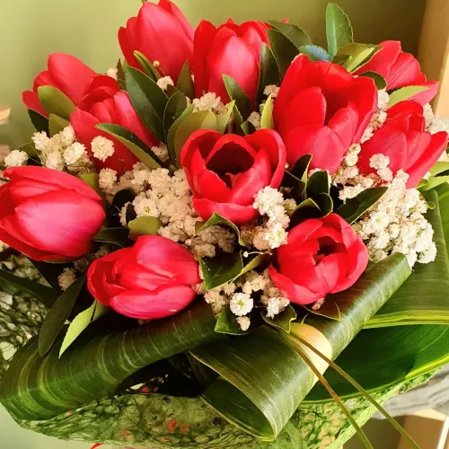 Tulipani rossi e fiori bianchi di gypsophila in un bouquet, avvolto da foglie verdi.