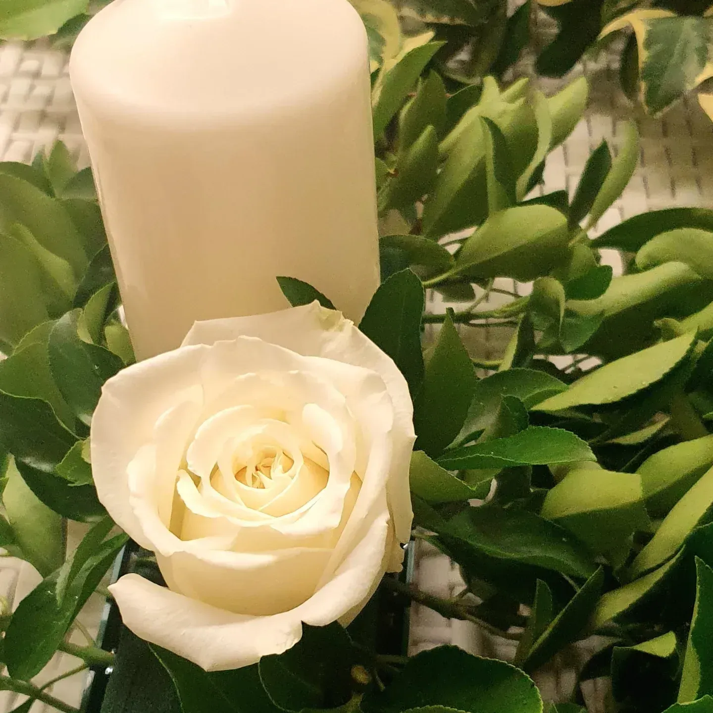 Centrotavola con rosa bianca e candela con fogliame verde.
