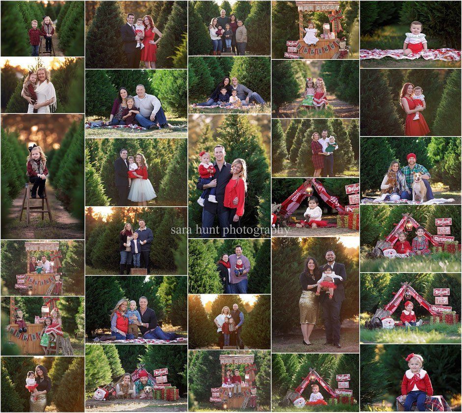 Tree farm and hot cocoa theme — Pearland, TX — Sara Hunt Photography Tree farm and hot cocoa theme — Pearland, TX — Sara Hunt Photography
