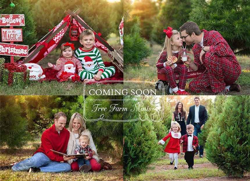 Tree farm minis — Pearland, TX — Sara Hunt Photography Tree farm minis — Pearland, TX — Sara Hunt Photography