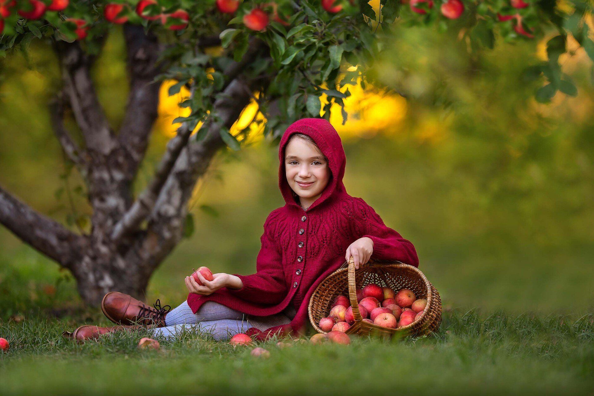 Baby cart in the cotton field — Pearland, TX — Sara Hunt Photography