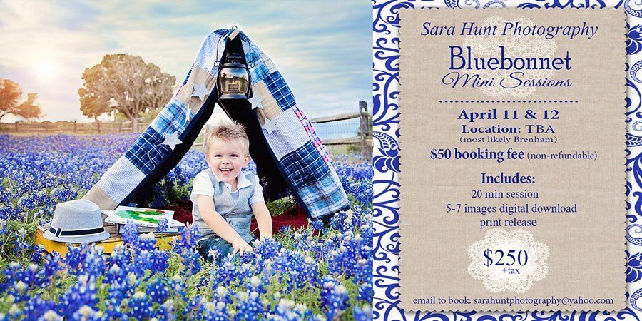 Bluebonnet mini sessions poster — Pearland, TX — Sara Hunt Photography Bluebonnet mini sessions poster — Pearland, TX — Sara Hunt Photography