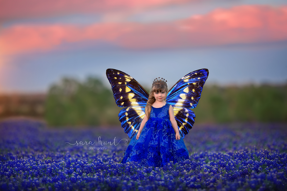 Girl with a blue and yellow butterfly wings — Pearland, TX — Sara Hunt Photography