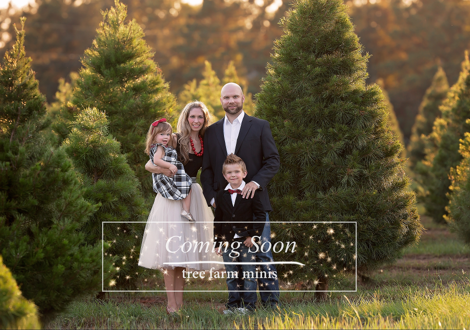 Tree farm minis photo — Pearland, TX — Sara Hunt Photography Tree farm minis photo — Pearland, TX — Sara Hunt Photography
