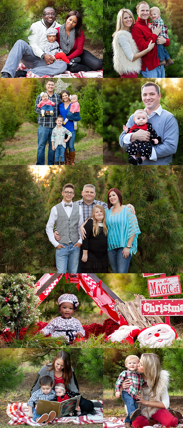 その他 PerthSanta mini photo set Secret GMMTV / PERTHSANTA MINI