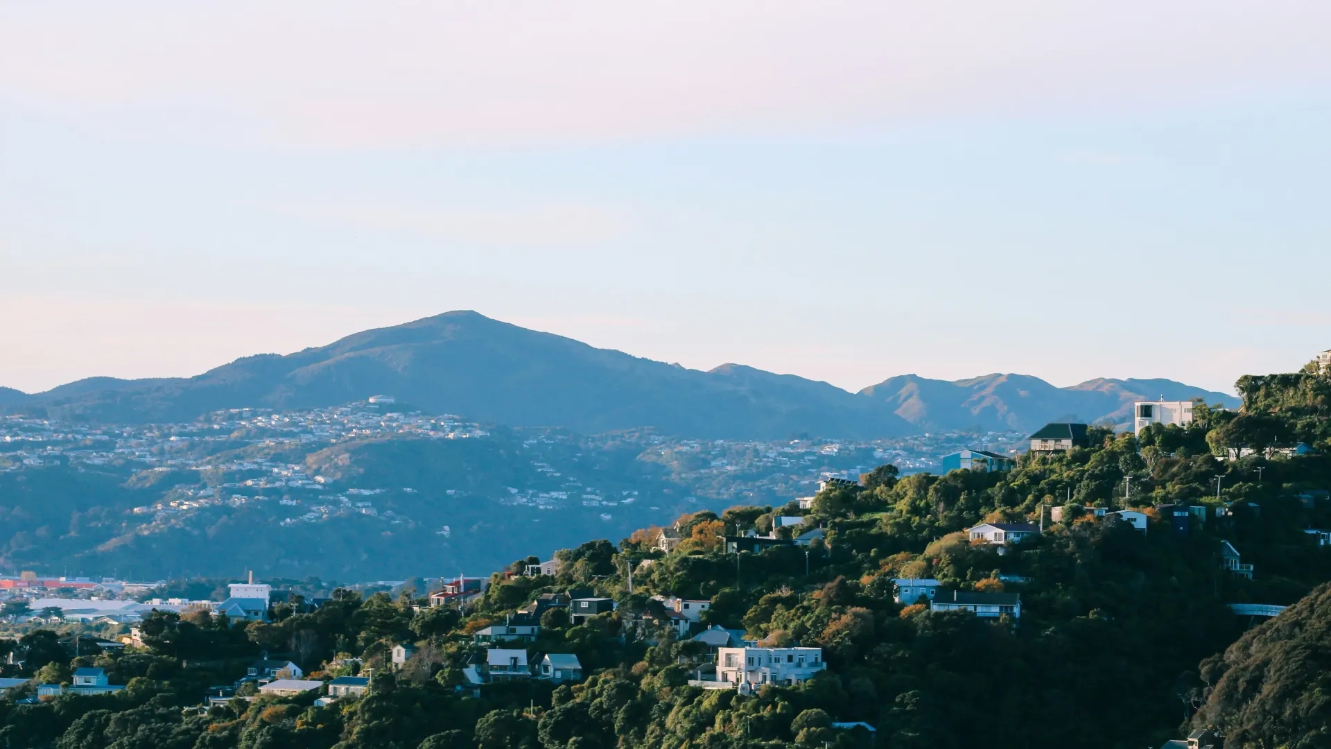 New Zealand laws and regulations.