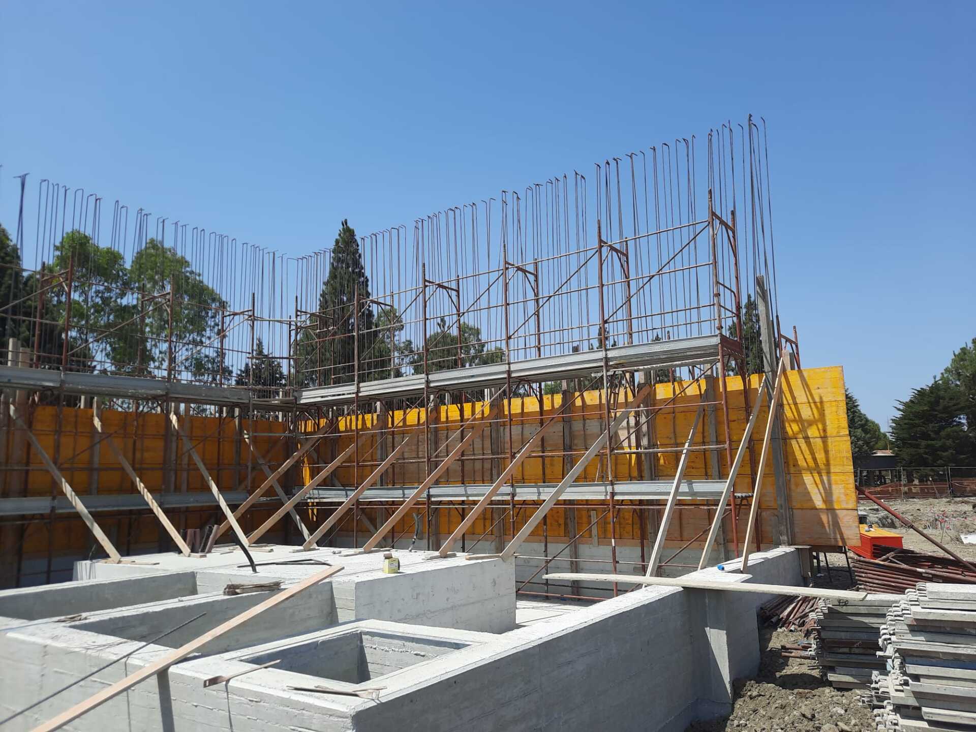 Carpenteria metallica media