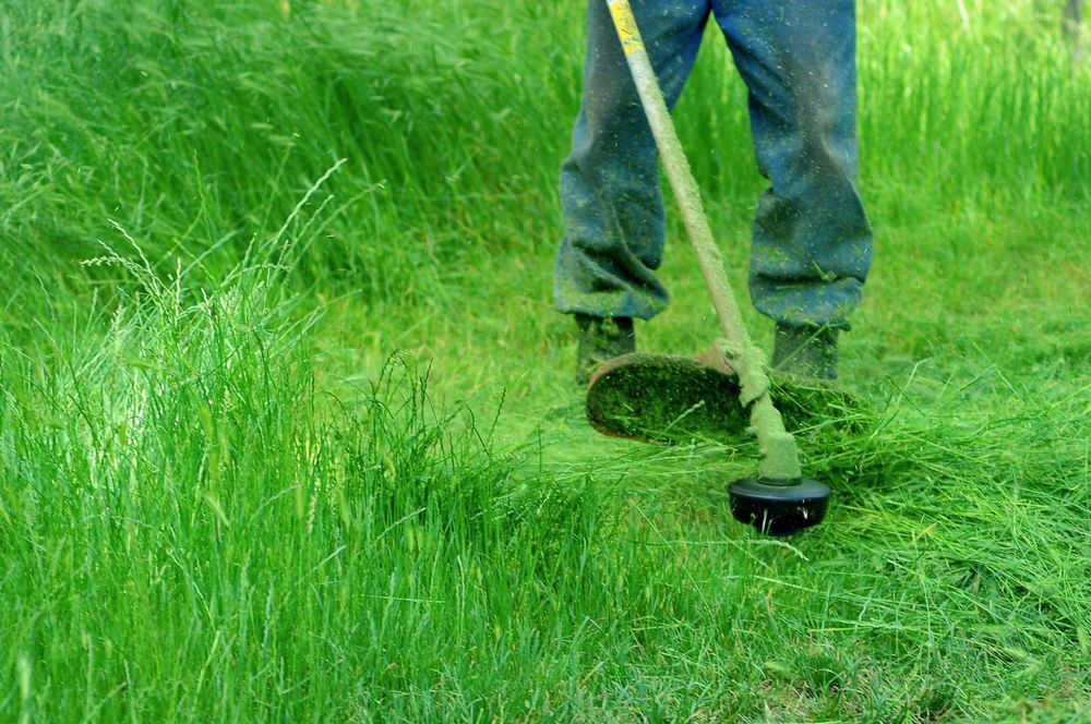 A Man is Mowing the Grass With a Grass Cutter — R & M Motorcycles in Katherine, NT