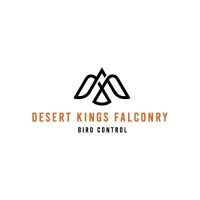 Desert kings Falconry