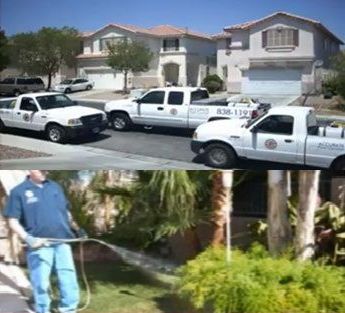 Pest control services