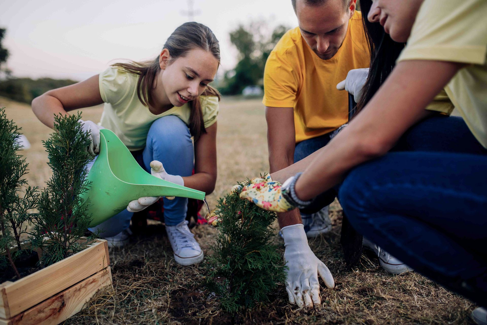 A group of young people are planting trees in a garden.