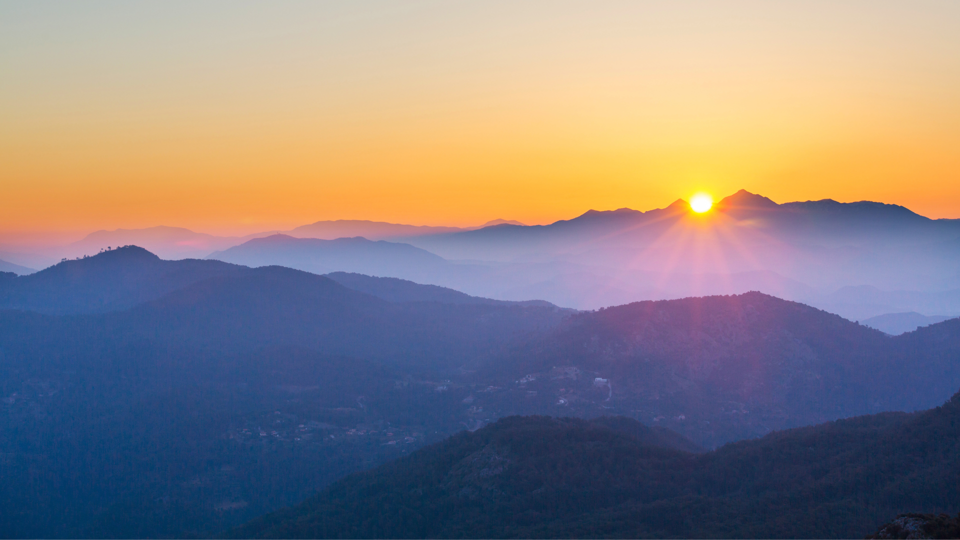 Cans of collected for food drive.