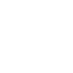 A white background with a few lines on it