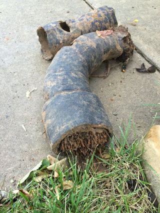 Orangeburg Pipe — More Orangeburg pipe full of roots  in Austin, TX