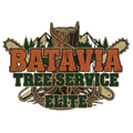 tree service in batavia illinois