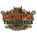 tree-service-batavia-illinois