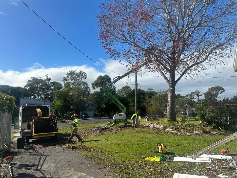 A tree is being cut down by a crane in a yard.