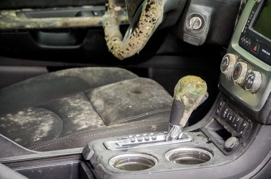 vehicle that needs mold remediation services