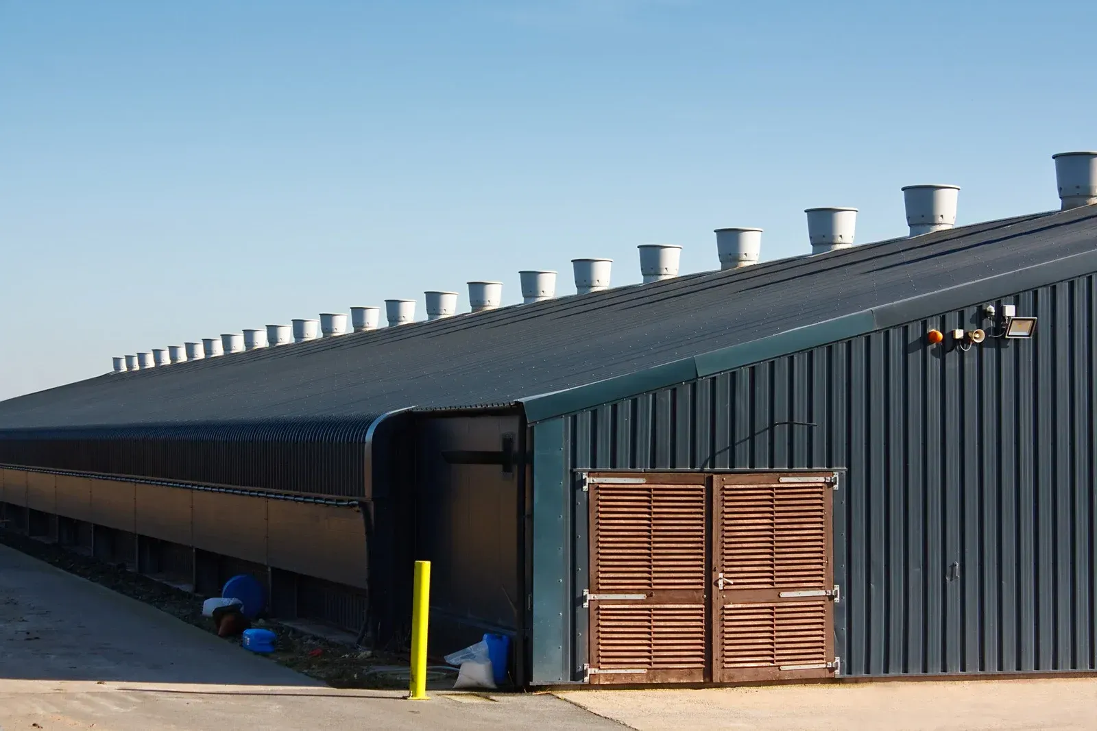 Long, dark blue building with ventilation chimneys on the roof; wooden door and clear sky.