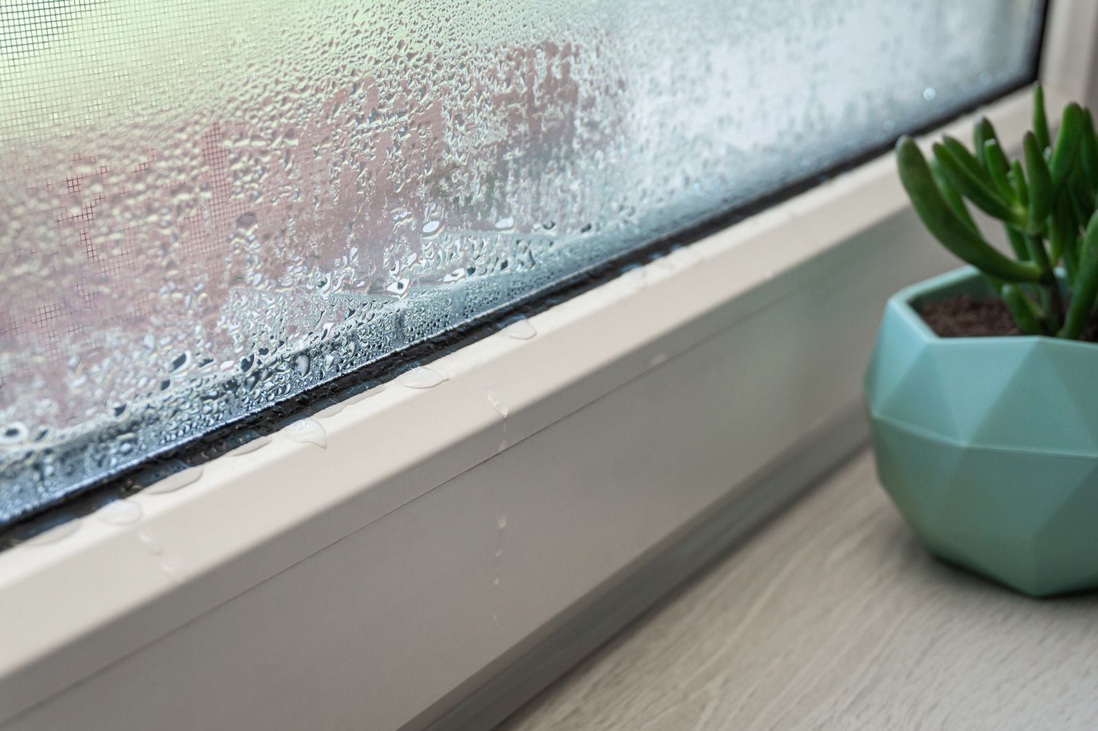 Rain-speckled window above a white sill with a small green potted plant on a wooden surface