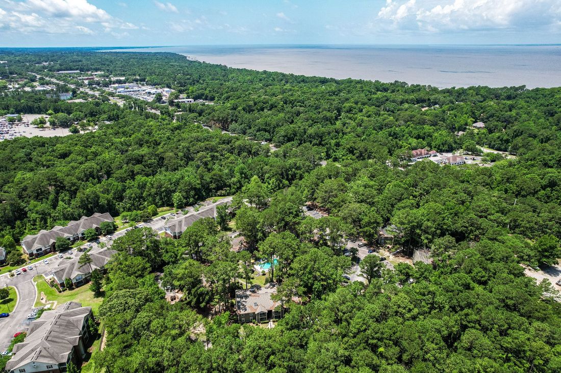 Aerial view: Lush green trees dominate a residential area, with a body of water visible in the distance.
