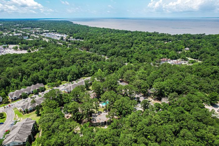 Aerial view: Lush green trees dominate a residential area, with a body of water visible in the distance.