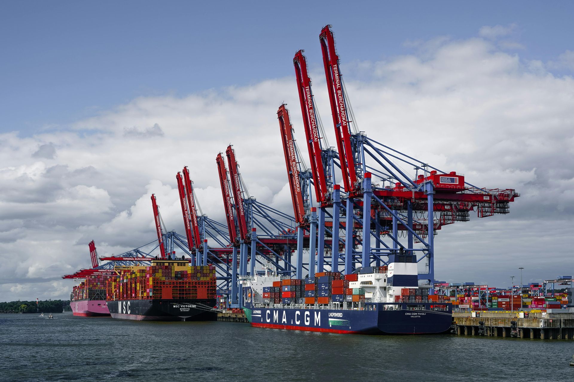 Medical staff in scrubs and coats pose in a hospital hallway.