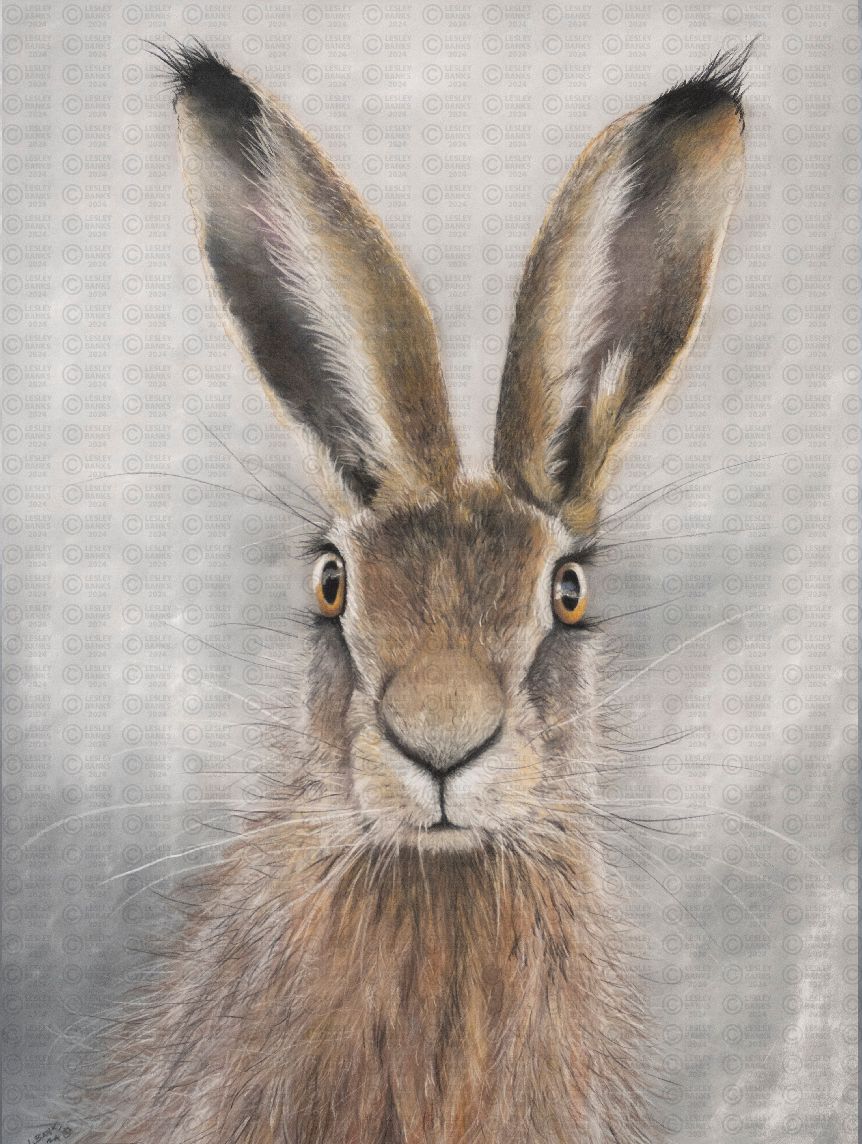 Pastel drawing of a hare 