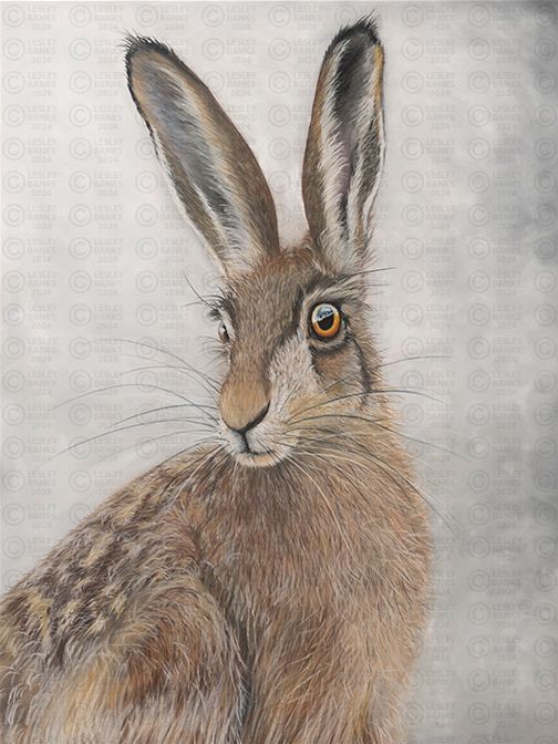 Illustration of a hare work done in pastel