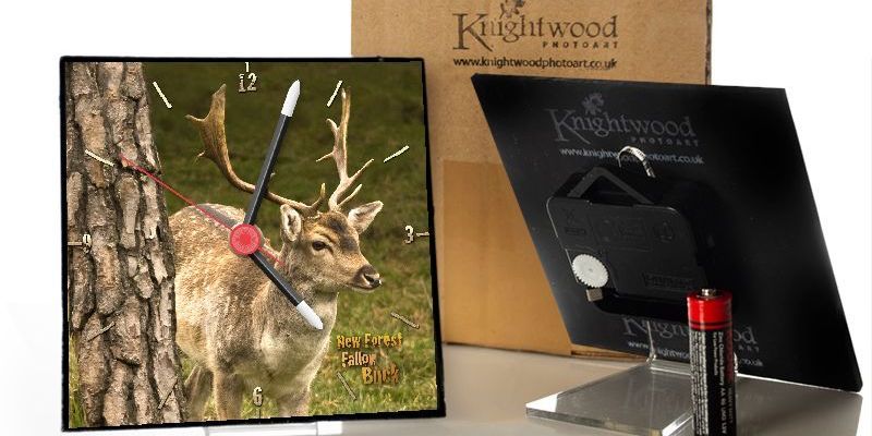 Animal Clock design (New Forest Fallow Buck)