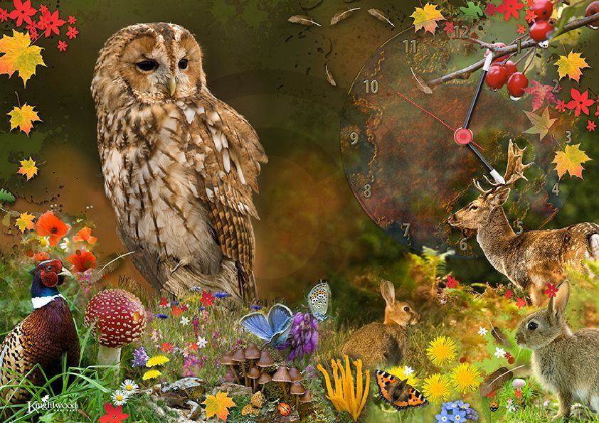 New Forest wildlife clock