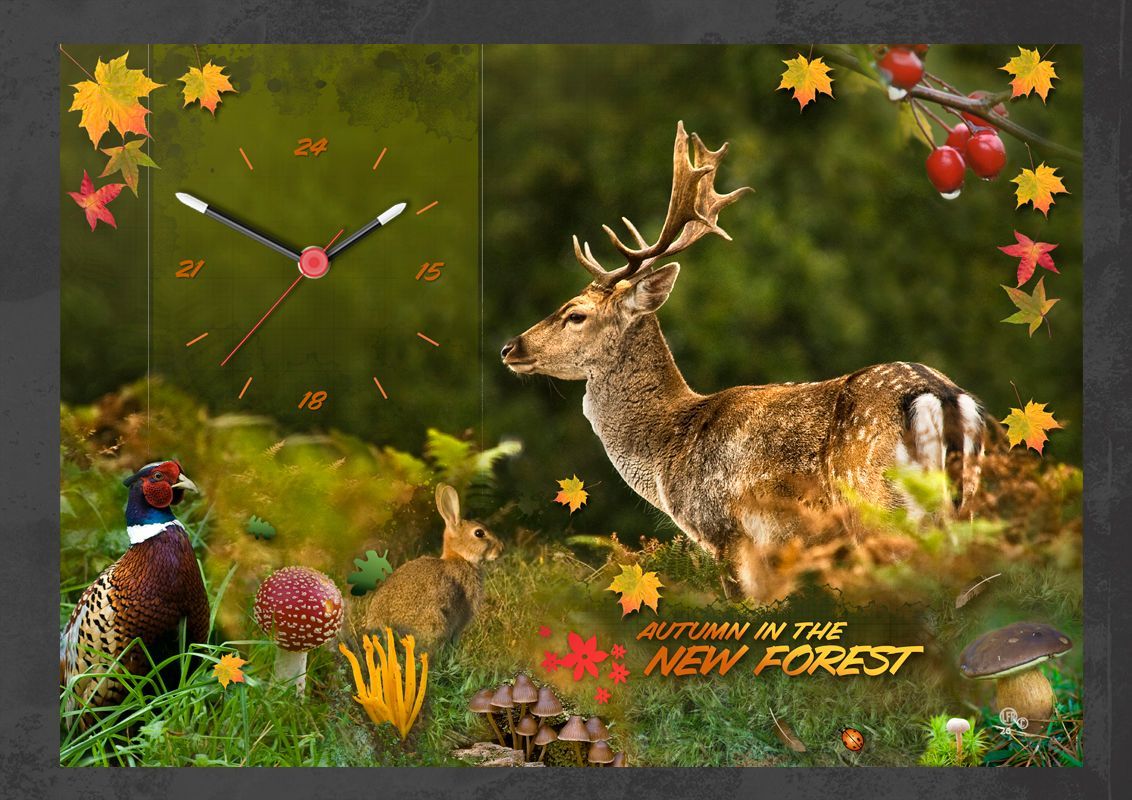 Autumn in the New Forest. A composite of a number of images, the main character is a fine male Fallow Buck. I have taken throughout the autumn months to composite a colourful clock design.