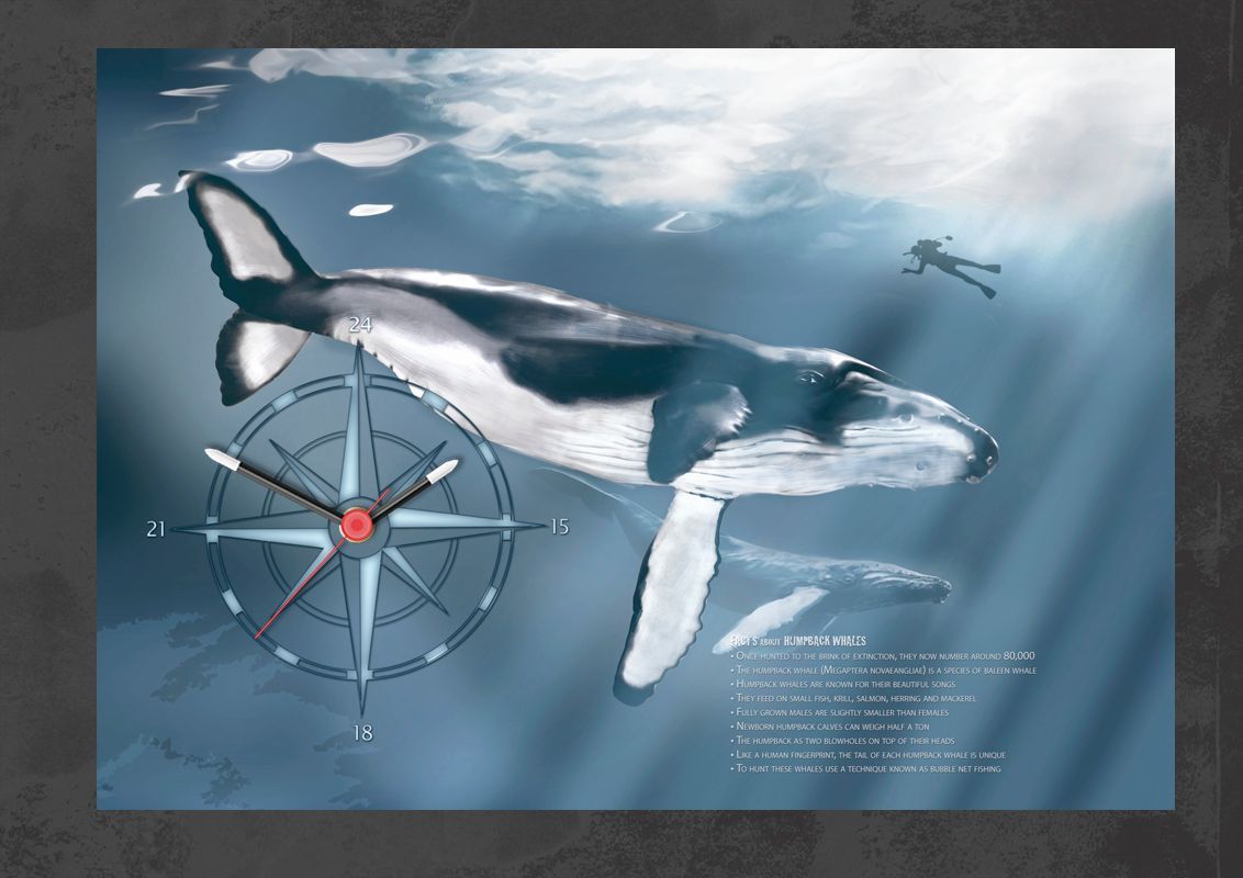 Humpback whale clock. Composite artwork (not Ai). Combination of digital illustration and photoghaphy.