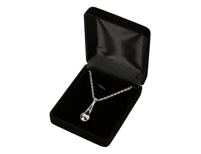 Silver pendant necklace in a black velvet jewelry box, lid open