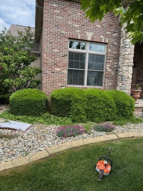 A brick house with trimmed green bushes. A chainsaw is on the green grass.