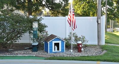 Veterinary Clinic - Belleville, IL - Belleville Animal Clinic