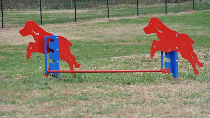 Animal Clinic — Dog Park Jump in Belleville,IL