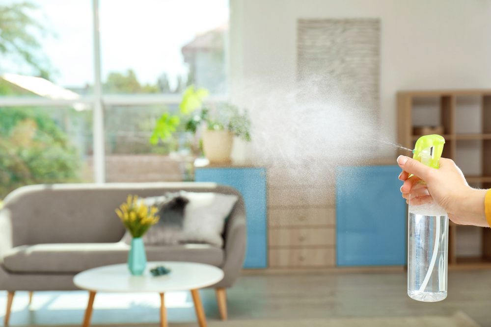 A Person Is Spraying A Spray Bottle in A Living Room — AGB Cleaning In Atherton, QLD
