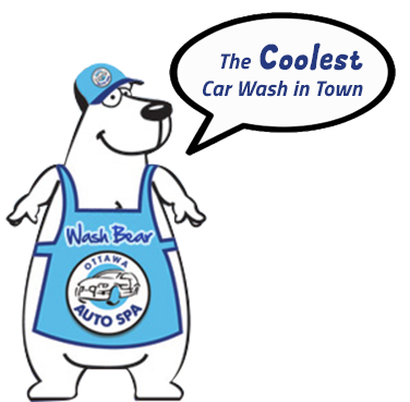 Ottawa Auto Spa wash bear