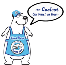 Ottawa Auto Spa wash bear