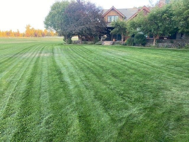 Lush green lawn with mowing stripes in front of a large house with trees and a setting sun.