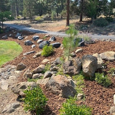 Rock garden with mulch, rocks, and small plants bordering a path. Trees and grass in the background.