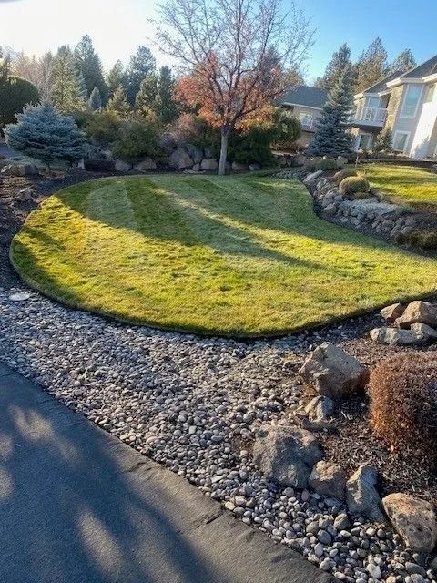 Lush green lawn in front yard, bordered by rocks and gravel, with trees and house in background.