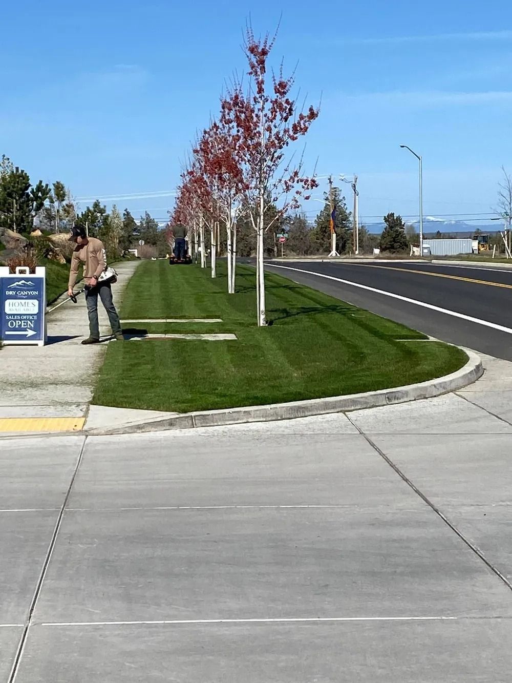 Person by sign on sidewalk, lawn with trees and mower, road, blue sky.