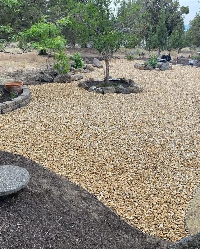 Gravel-covered backyard with small trees and landscaping rocks. Light brown gravel covers most of the ground.