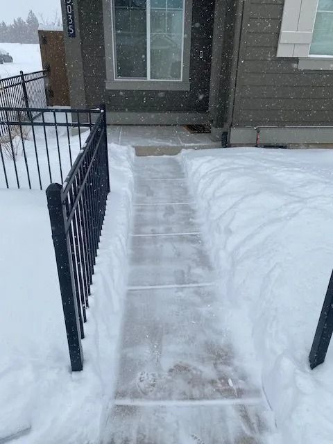 Snow-covered walkway cleared to the front door of a house with a black fence and a window.