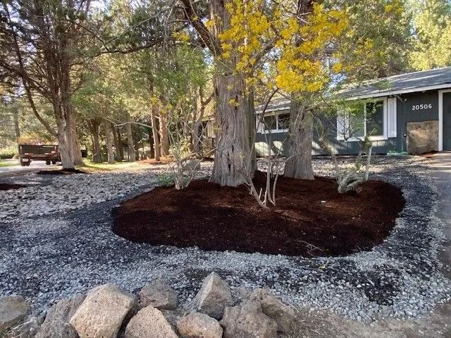 Landscaped yard with a tree circled by dark mulch, gravel pathway, and a house.