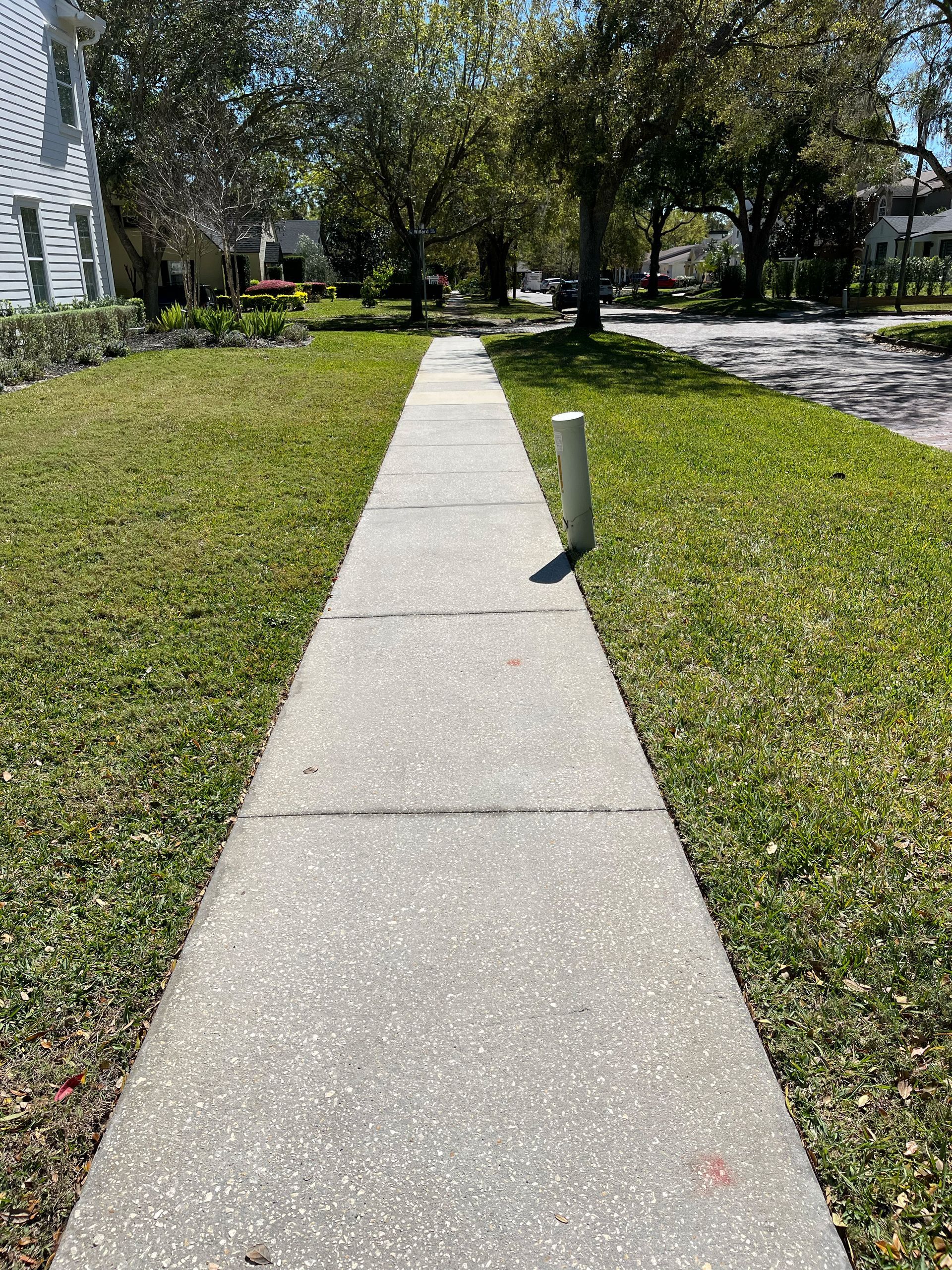 A sidewalk leading to a house with a lot of grass and trees.