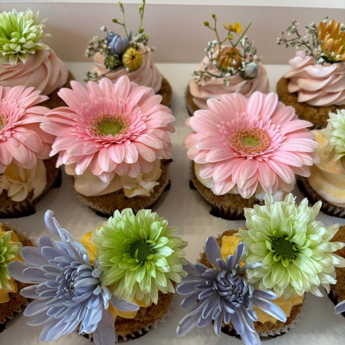 decorated cupcakes